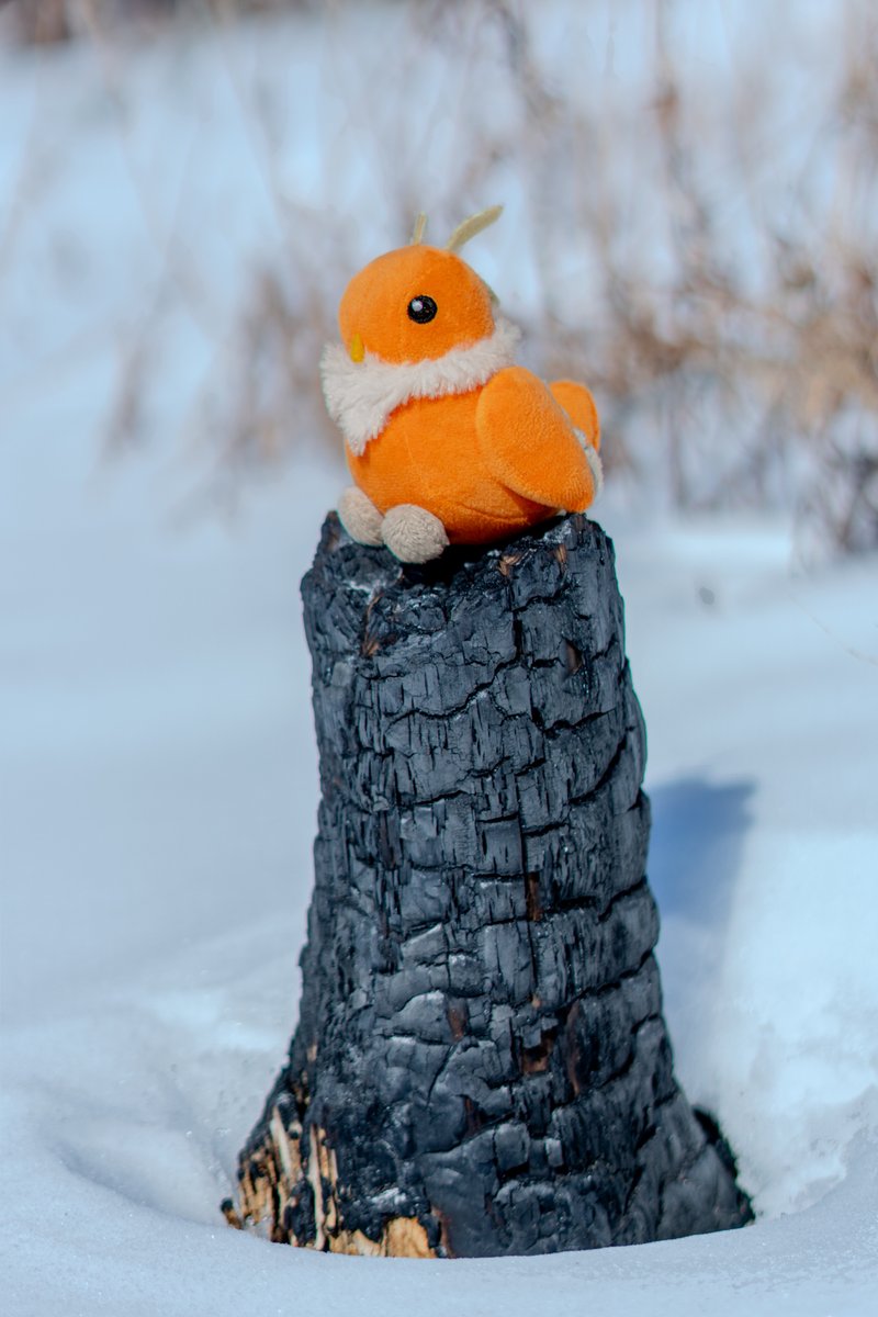 Baby Bestiary tweet media