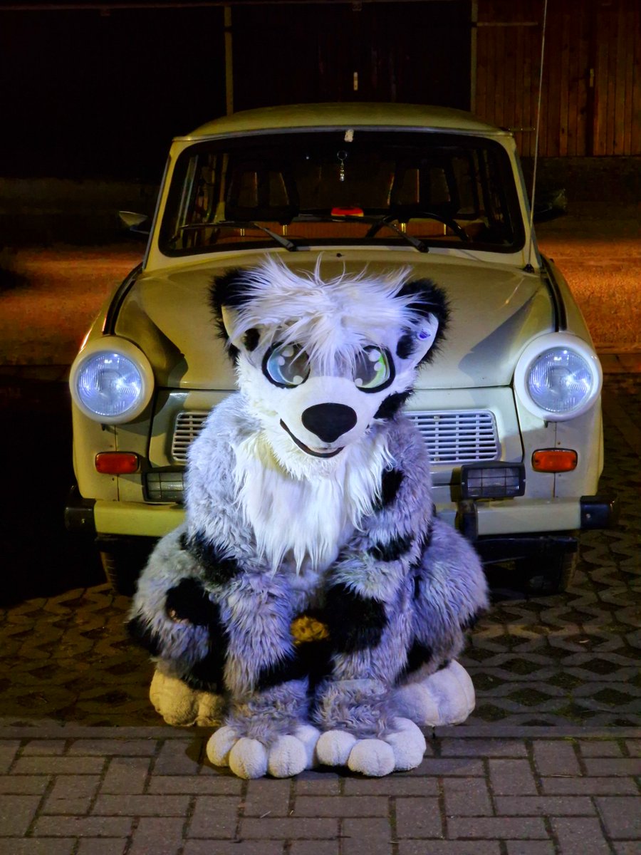 Did I ever mention that I like cars?
Well... I LOVE CARS !!! 🥰
📸: <a href="/Rickyfluff/">Rickyfluff</a>
.
.
.
#FURSUITFRIDAY #furry #fursuit #furries #furryfandom #fursuits #fursuiter #fursuiters #fursuiting #suitwalk #fursuiting #cars #trabant #autos #snep #snowleopard #bakapawcreation