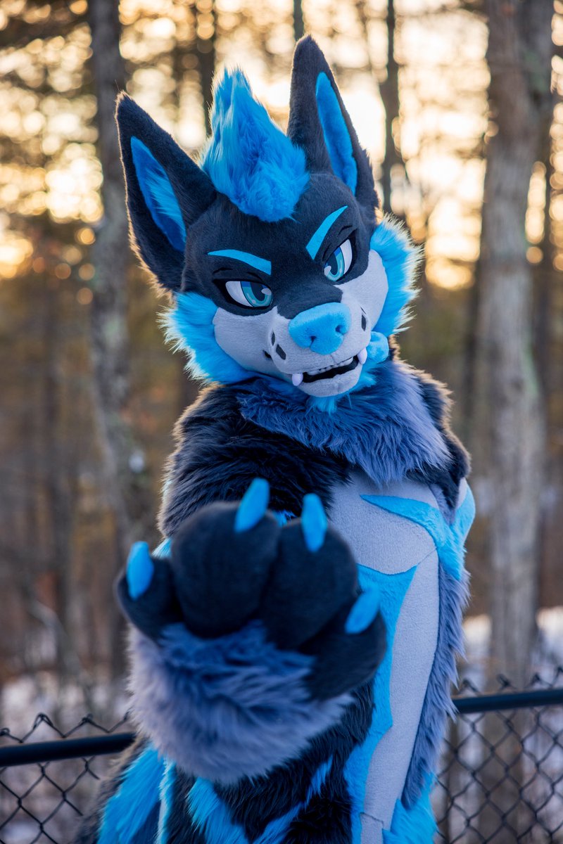 Take my paw - let’s go on an adventure! 🐾
You in? 🩵
✂️: <a href="/kigurumikagetsu/">きぐるみ花月/Kigurumi Kagetsu</a> #FursuitFriday #Furry