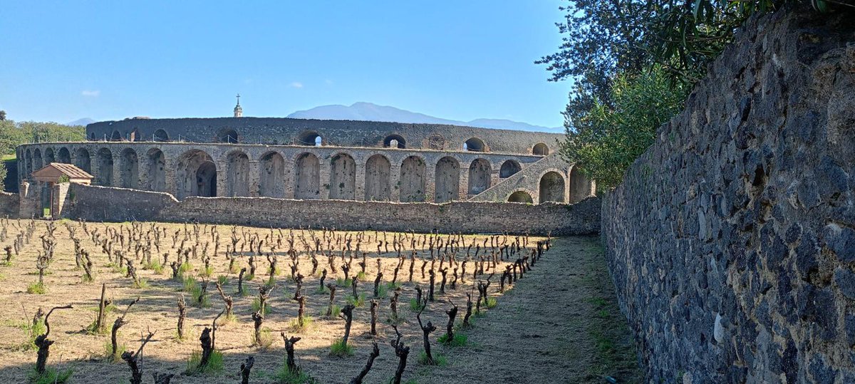 WineNewsIt's tweet photo. .@pompeii_sites torna a #produrre #vino di #qualità grazie al #Gruppo #TenuteCapaldo. Presentato il #partenariato #pubblicoprivato per l’avvio dell’#Aziendavitivinicola, con il “sapere” di #AttilioScienza e il #knowhow di #PierpaoloSirch, https://t.co/SLxgSq2kFy https://t.co/4SNwSLv6W3
