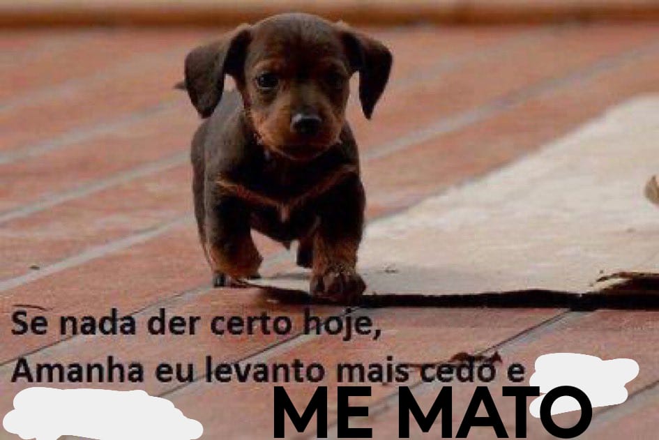 MoFo (@mofoalternaria) on Twitter photo 