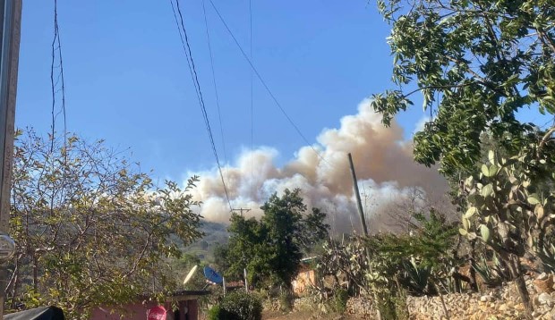 PresenciaUni's tweet image. 👉🏼 Van unos 15 incendios forestales ocurridos en Pinal de Amoles

El #Incendio reciente más grande en #Pinal de Amoles abarcó 55 hectáreas | #MedioAmbiente 

📰 presenciauniversitariauaq.com/van-unos-15-in…