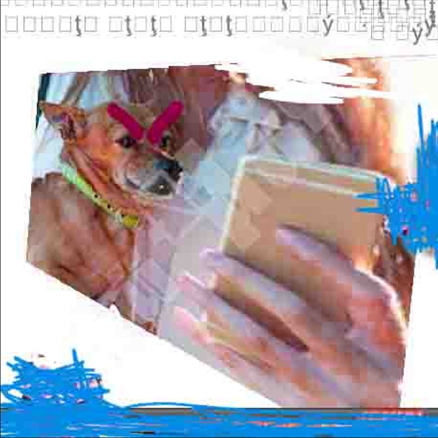 cudowne fotografie (@cudownefotograf) on Twitter photo 