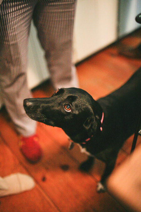 Mo Khalil tweet media