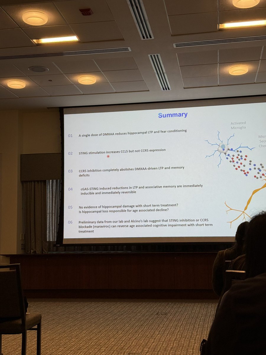 2DG and fasting can increase BDNF and plasticity genes! Other Stress Sensors like STING inhibition can prevent age-related cognitive decline and improve LTP 🤩