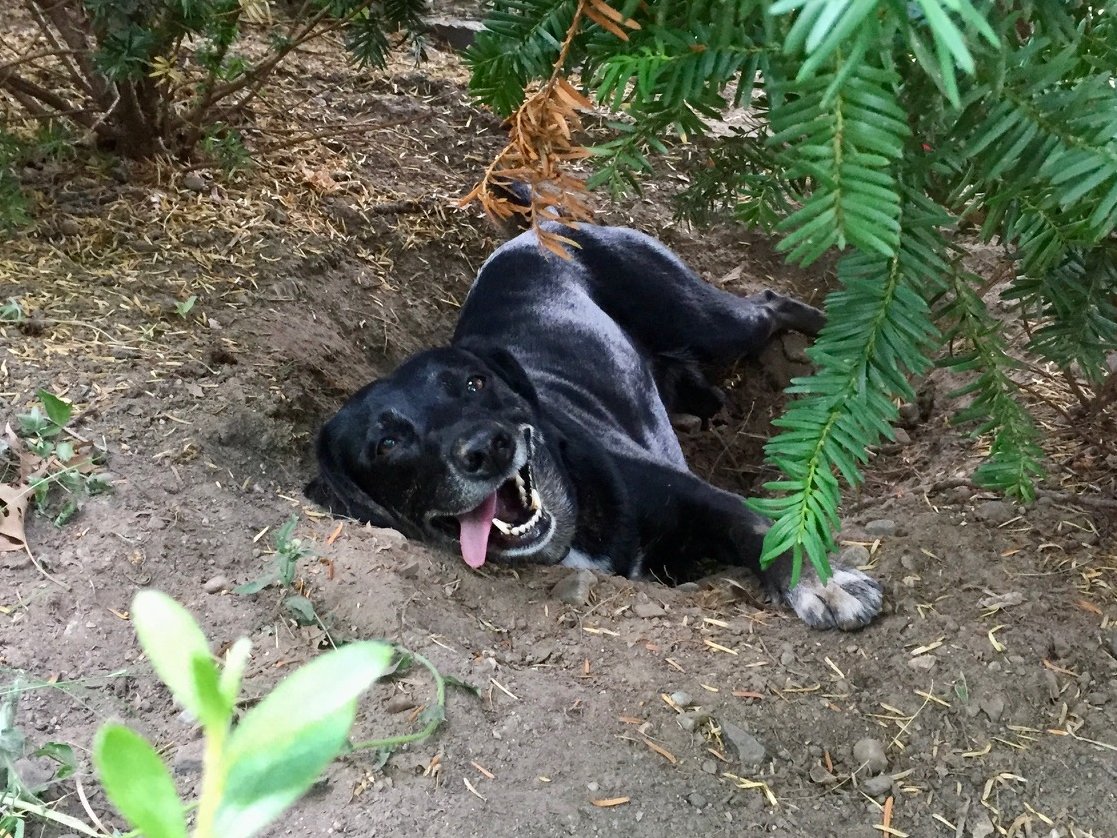 Mo Khalil tweet media