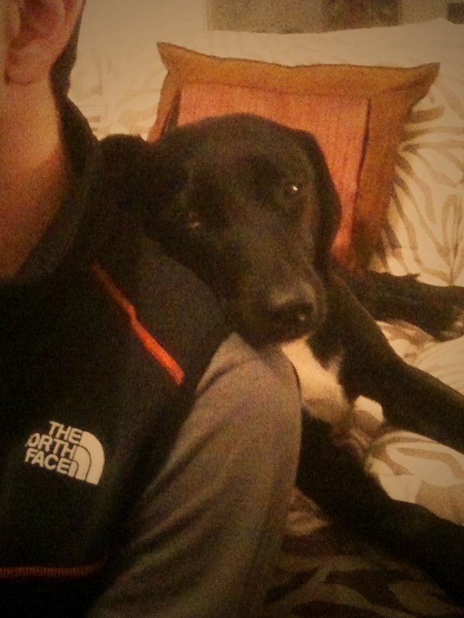 Mo Khalil tweet media