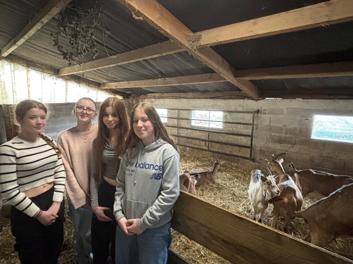This afternoon we visited a goat farm…