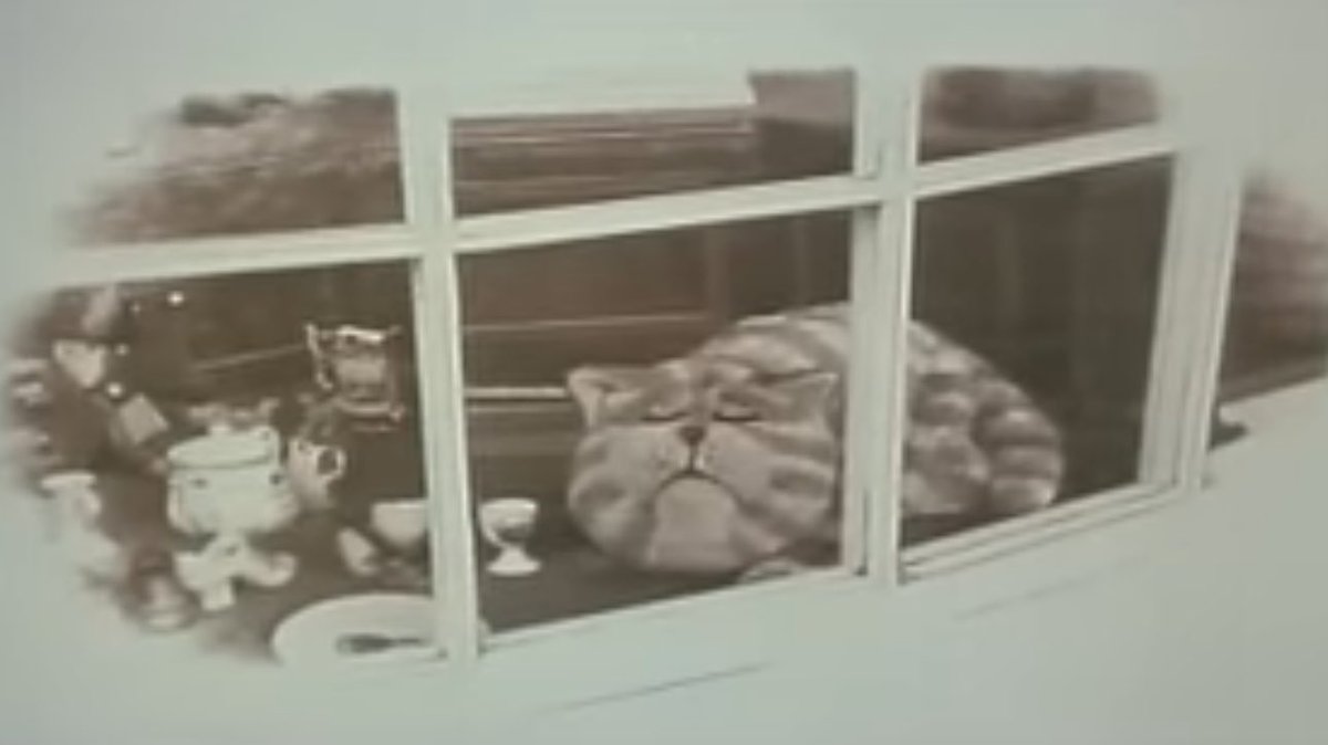 Little Dude Of The Day tweet media