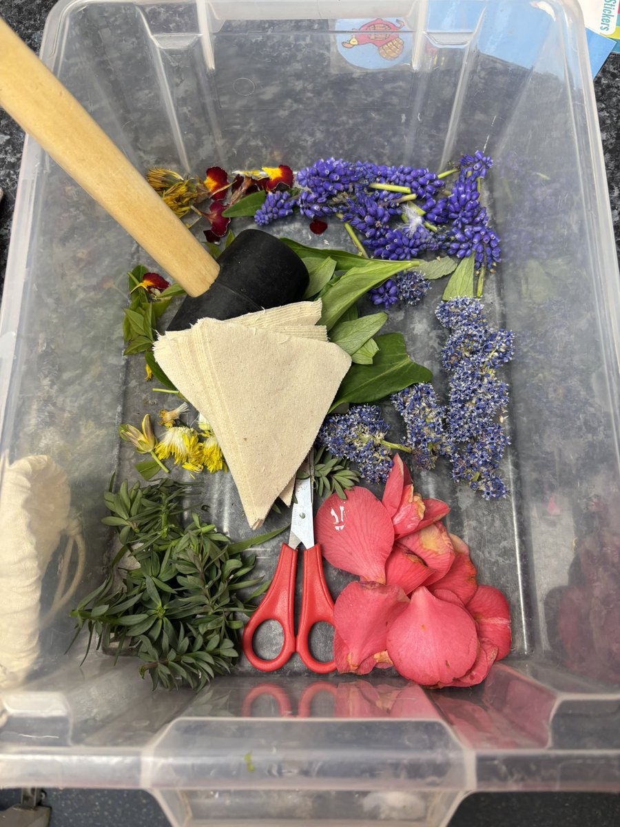 WeatherstonJane's tweet image. Forest school Fridays are back. I have really missed doing these sessions and it’s been great to get them up and running with the oldest nursery children working with reception at my new school. This week we are getting ready for spring. Caring for the beans that we planted,…