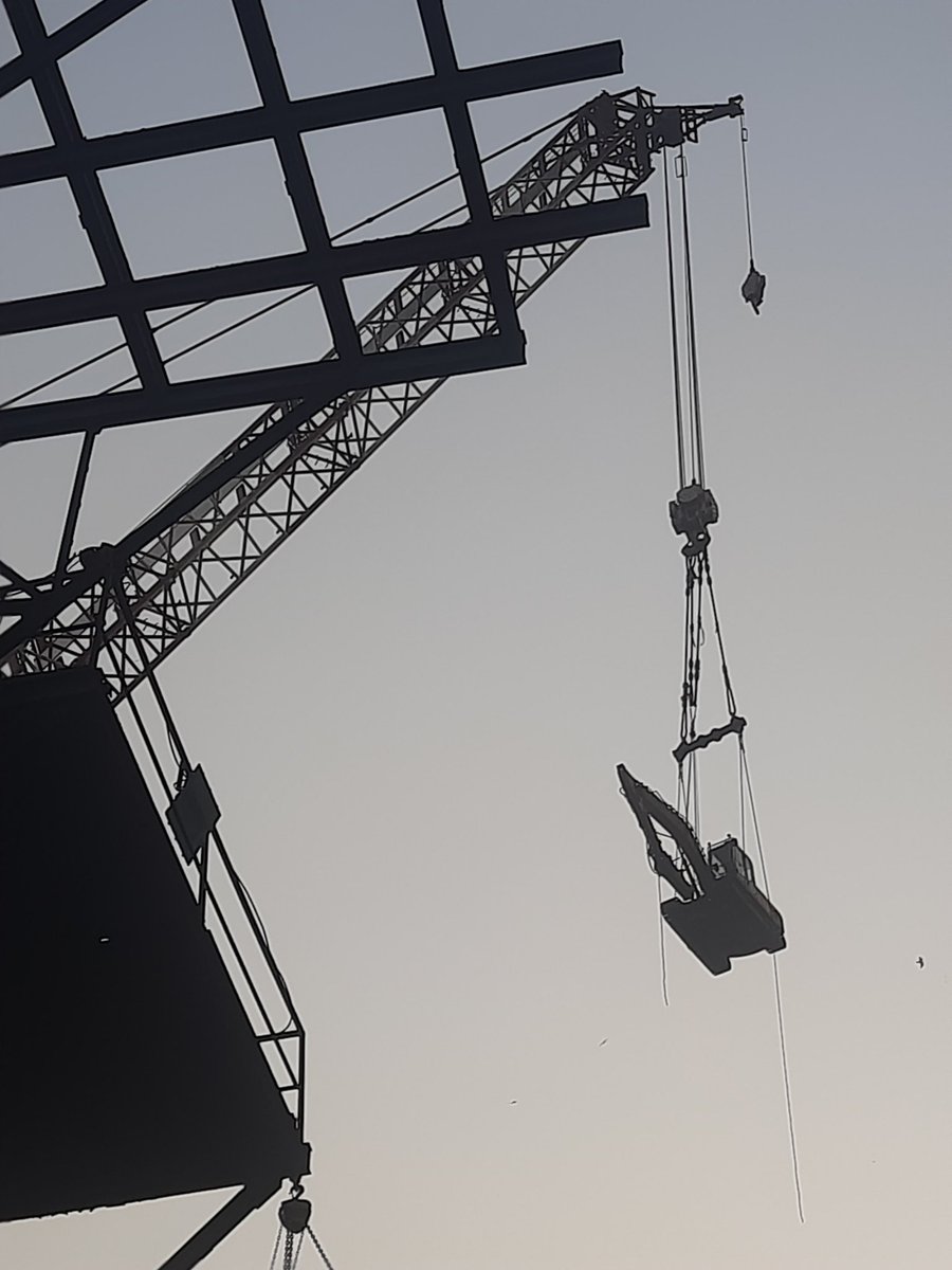 Bult K (@k_bult9523) on Twitter photo 