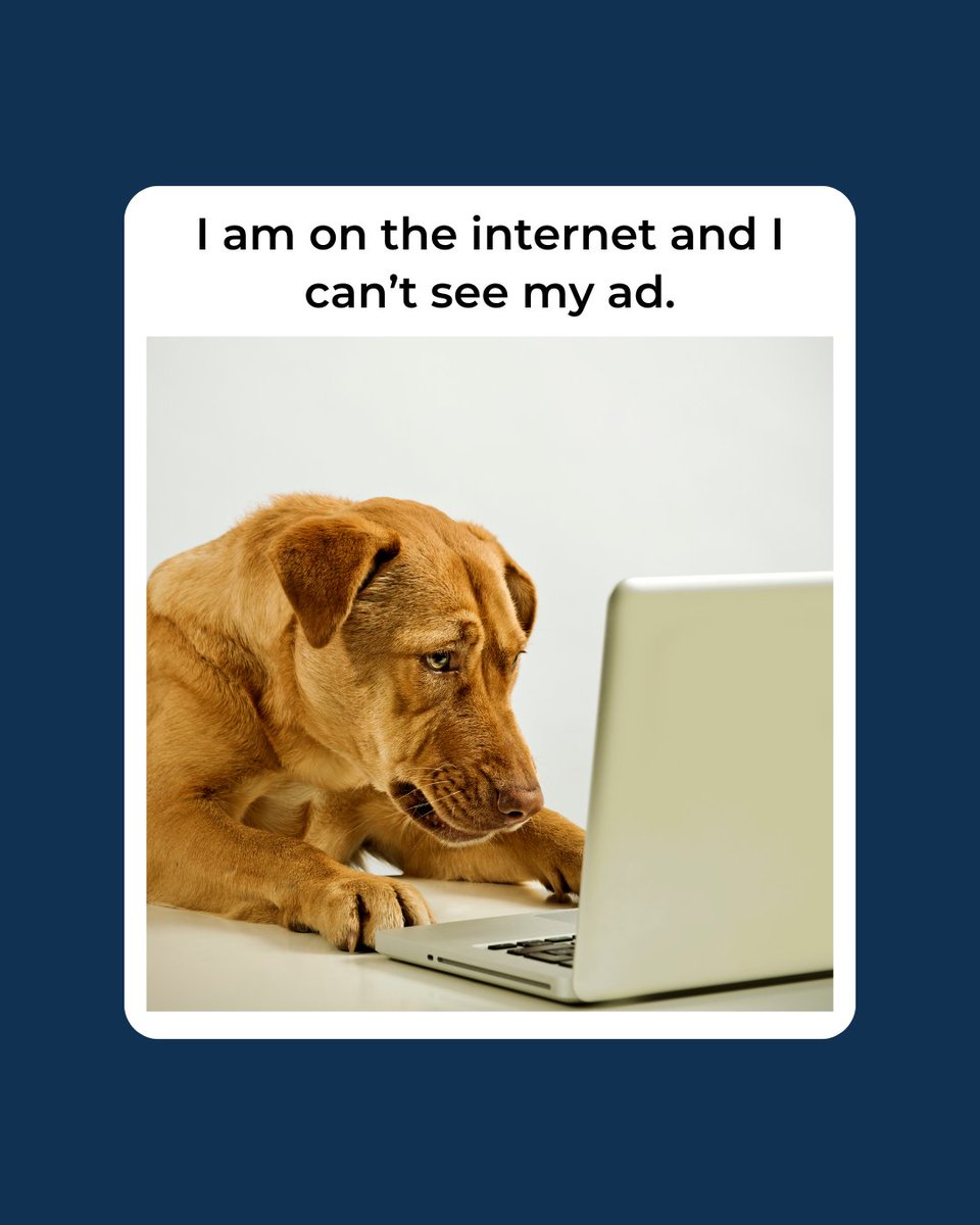 When you're all over the web, but your ad is playing hide and seek.🤣 

#ActuateMedia #DigitalMarketing #WhereAreYouAd