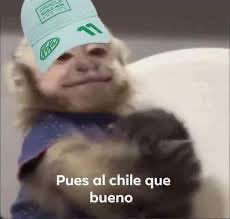 Ruben Pacheco (@pachecazo) on Twitter photo 