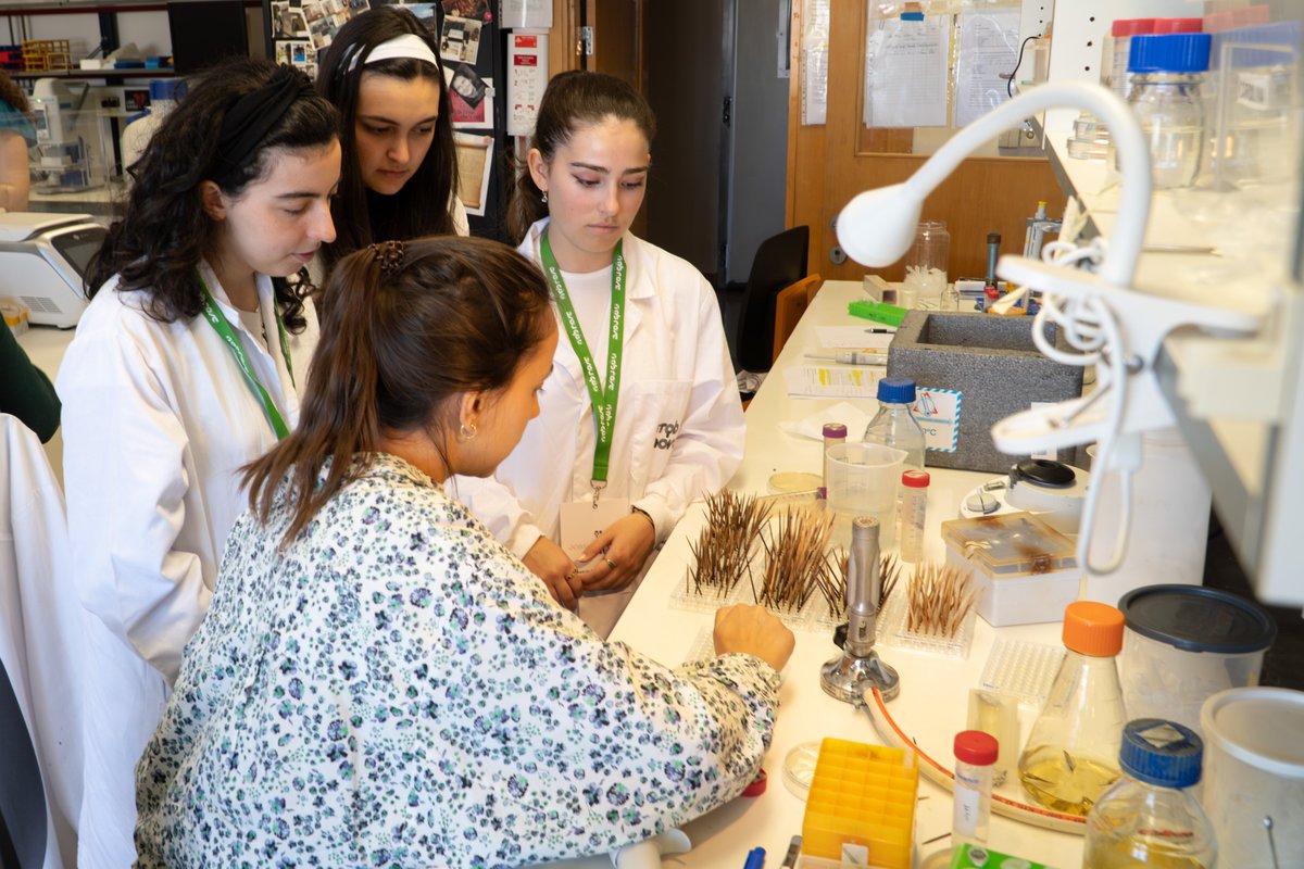 itqbnova's tweet image. Happy National Students' Day! 🎉🎓
At #ITQBNOVA, being a student means you’re an essential part of the puzzle. It is to contribute to new knowledge and grow within a dynamic community focused on shaping the future of science. 🧪📚
Join us: itqb.unl.pt/education
@NOVAunl