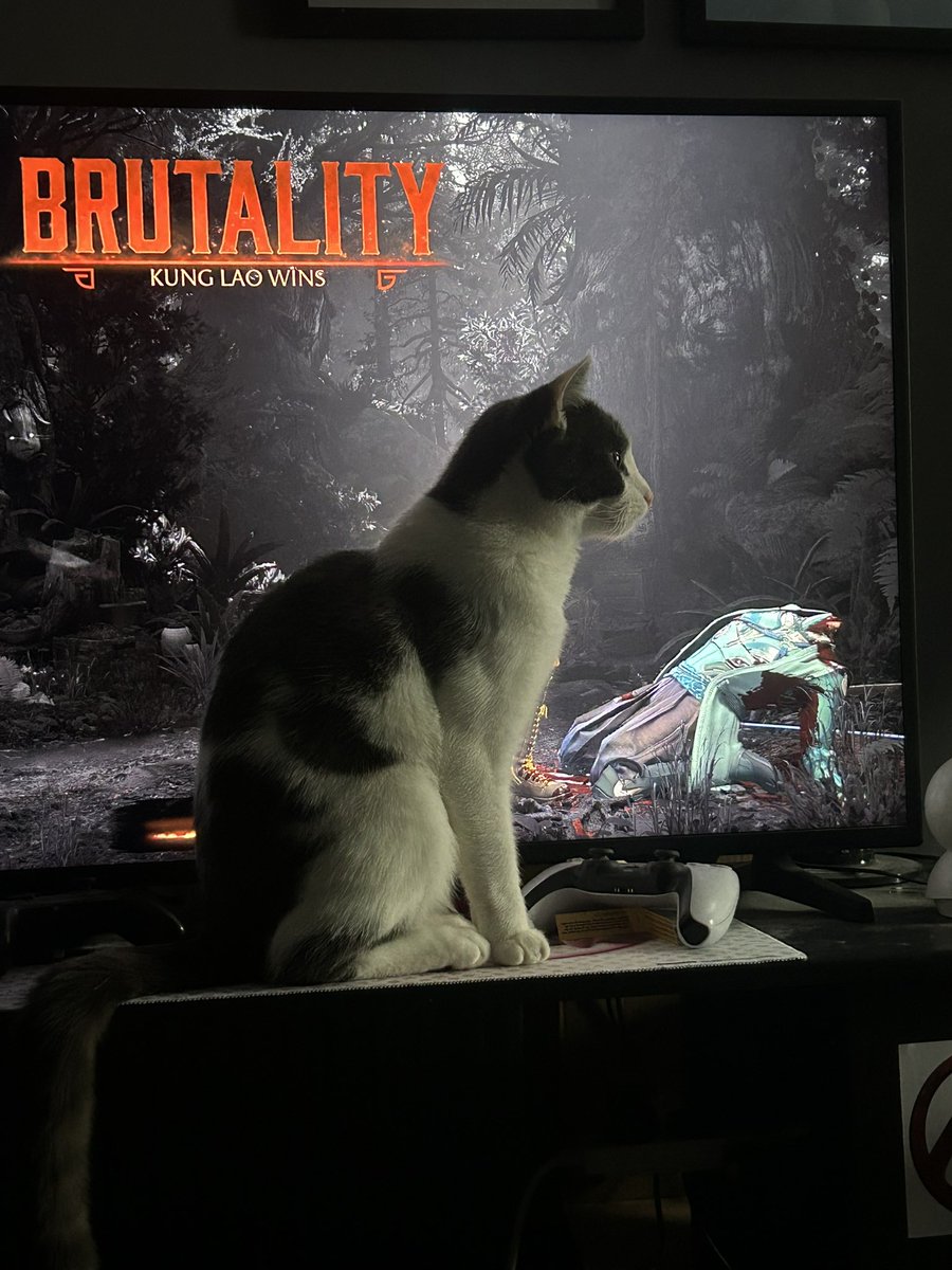 MaxiMoose tweet media