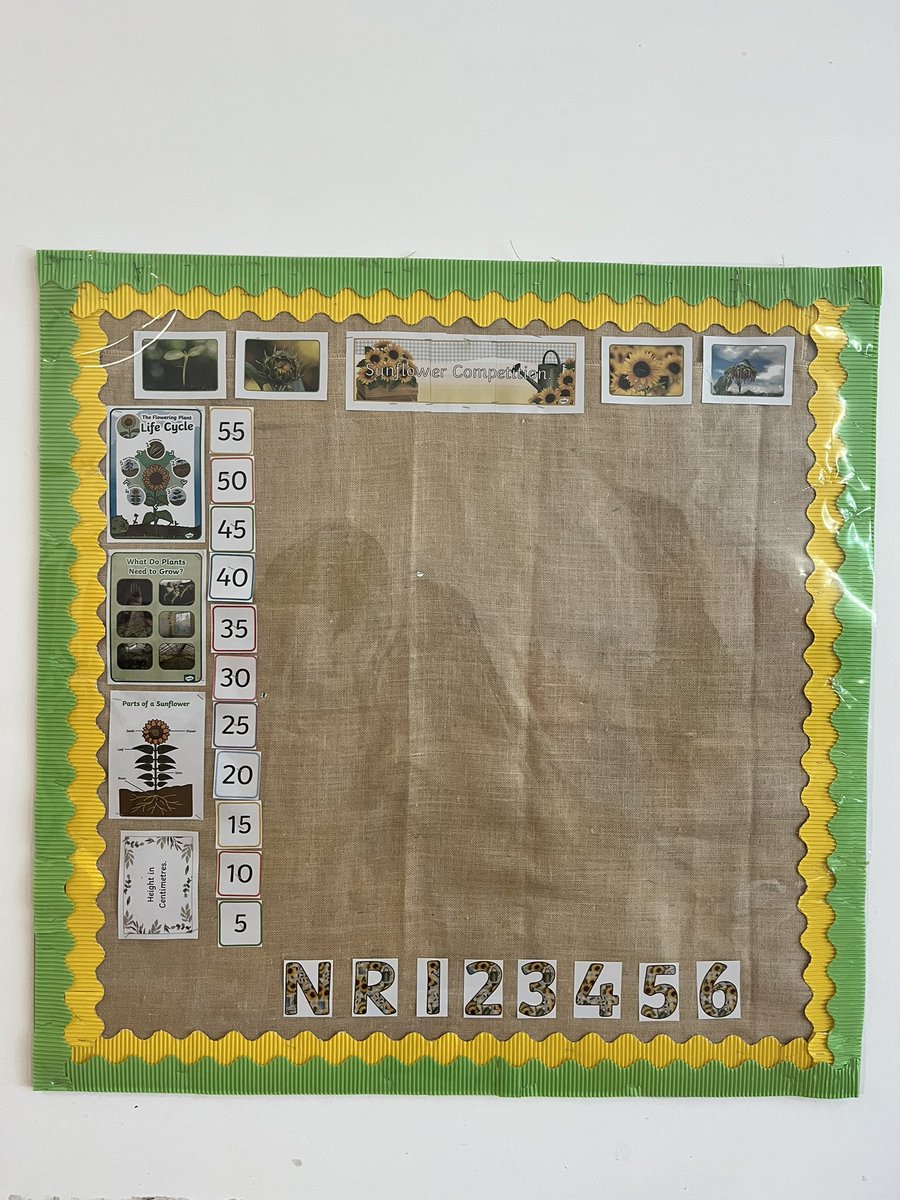 Ms Shenton tweet media