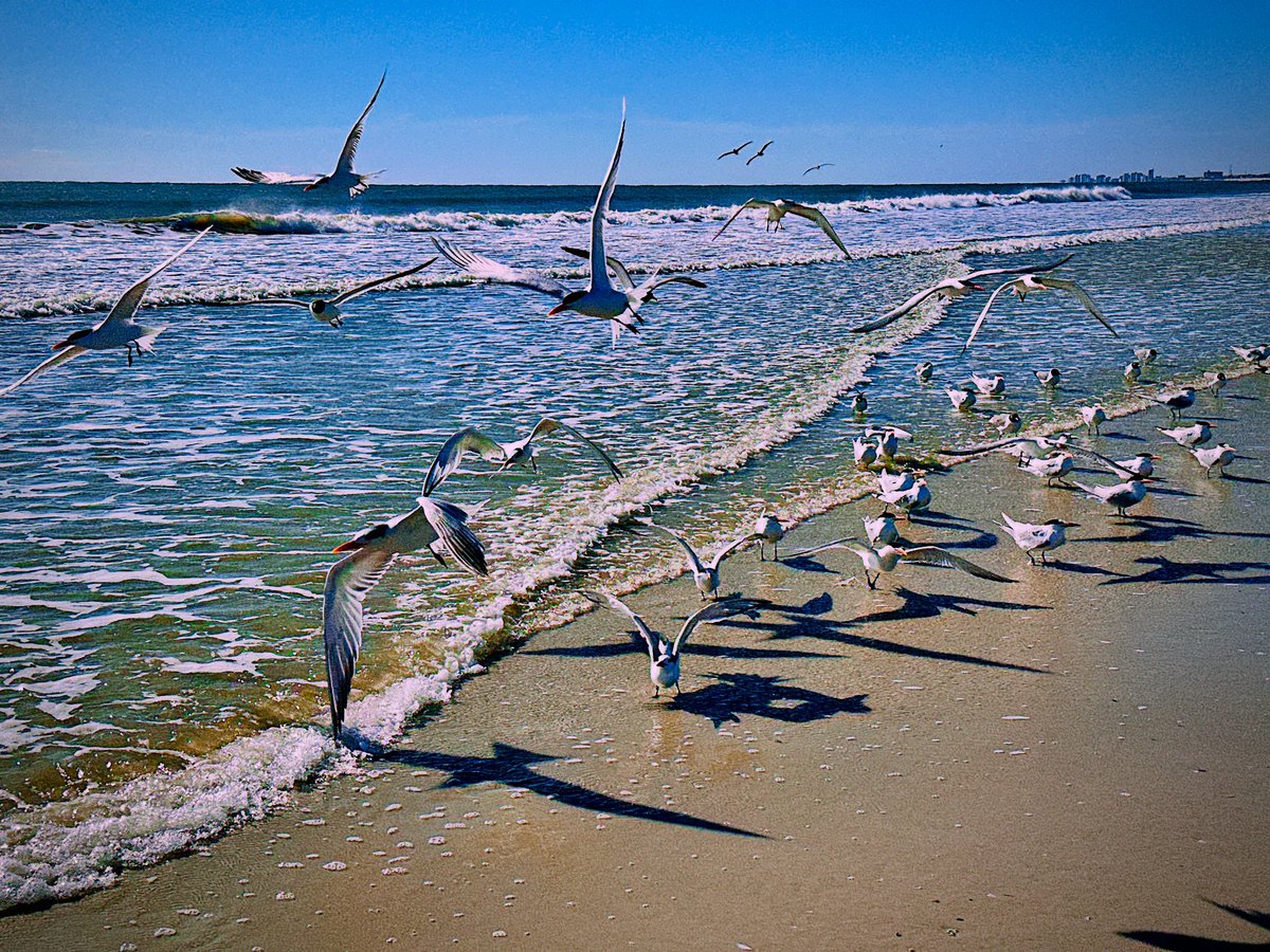 NS_Mayport's tweet image. ๐ฆ
Time to fly! Have a great weekend, Mayport!โ๏ธ