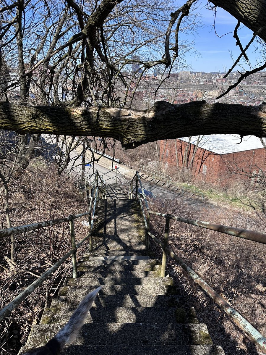 Brian Oswald tweet media