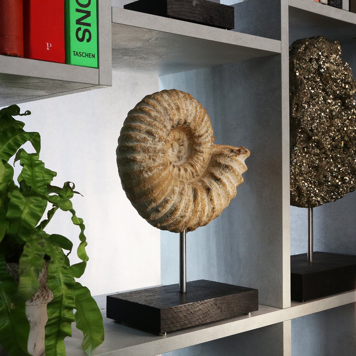 CuratedStudio tweet media