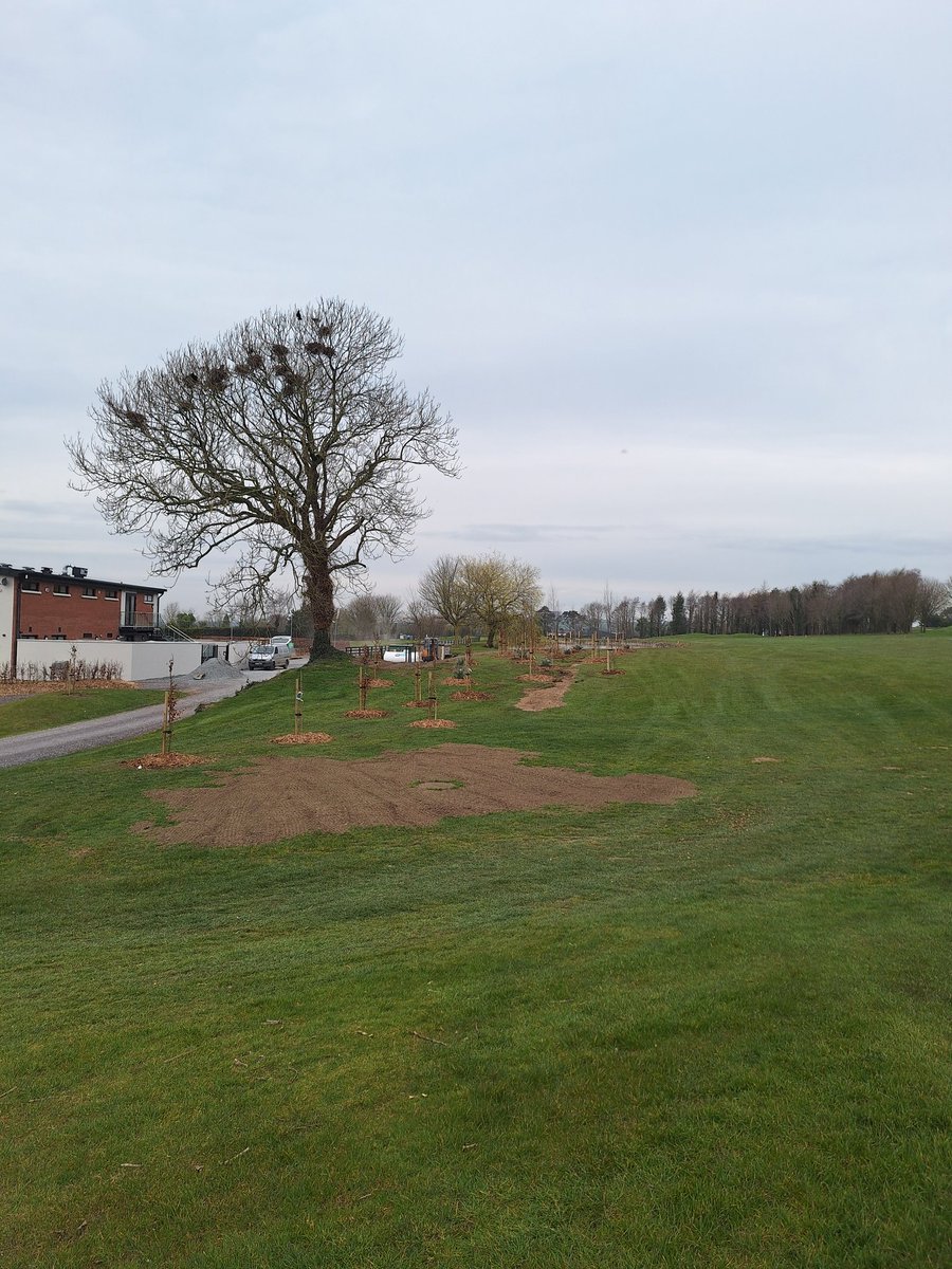Tree planting at 13th tee finished today <a href="/hollywood_lakes/">Hollywood Lakes</a> .Thanks <a href="/jlynchy/">jeff lynch</a> for the design.