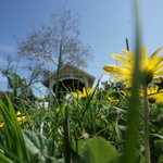 Photo by Roaring Camp (@roaringcamp)