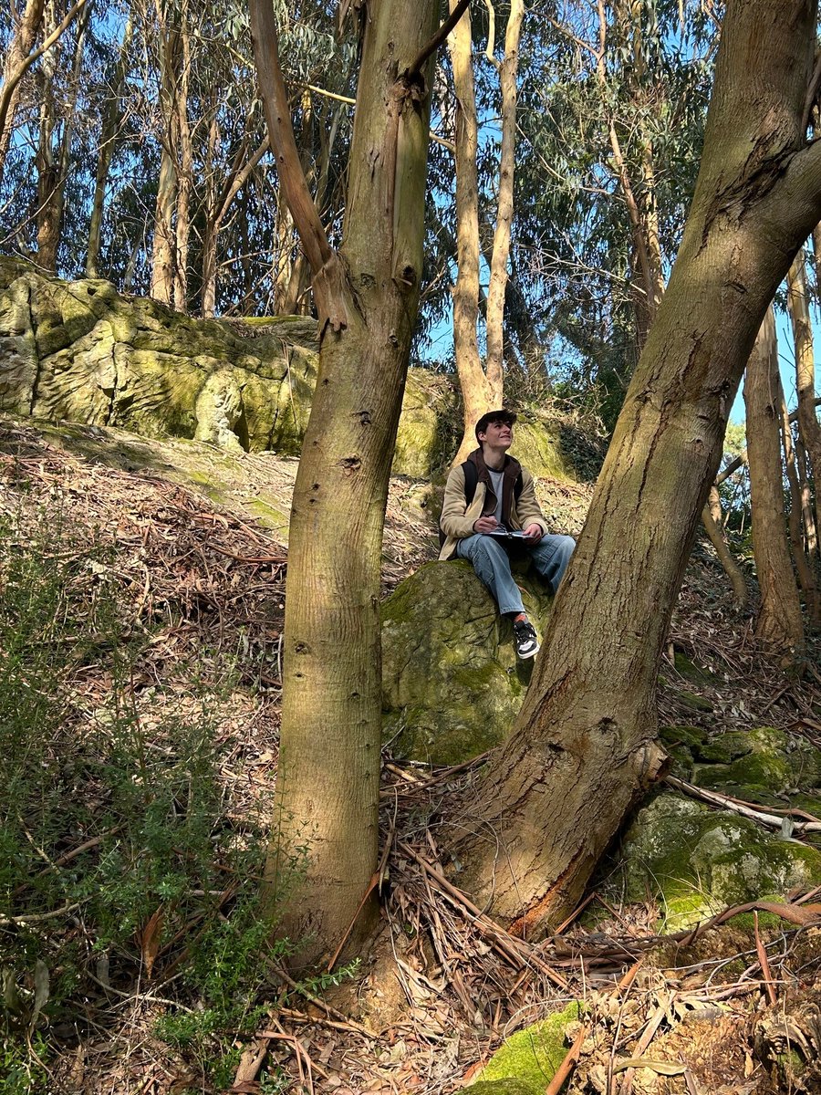 Isle of Wight National Landscape tweet media