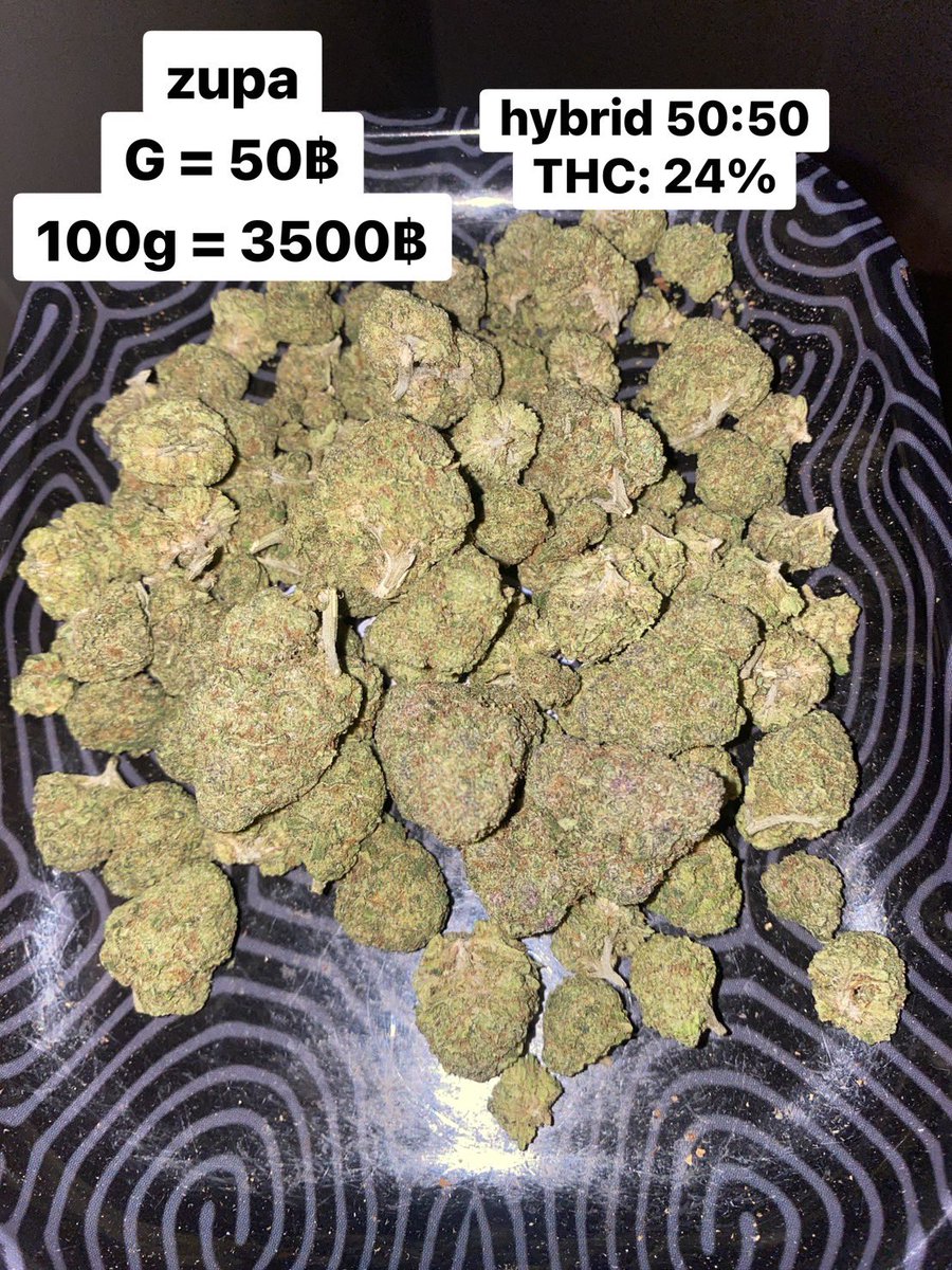 amxpinya's tweet photo. Zupa 🤘🏻😎

งานมาไวไปไวนะฮะ ไม่ขมคอแน่นอน
สินค้าเป็น hybrid 50:50 Thc 24%🥦🥦
ลองได้ง้าบบ

Zupa 
G = 50.-
100 G = 3,500.-
กทม.ปริมณฑลส่งแมสทั่วราชอาณาจักร
#กัญชากรุงเทพ #og #กัญชาเชียงใหม่ #fwbกรุงเทพ #นัดเย็ดกรุงเทพ https://t.co/CroqCHfpRX