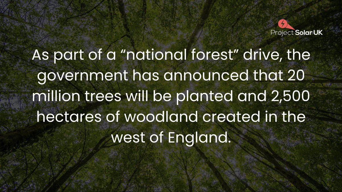 ProjectSolarBE's tweet image. The days are getting longer, and the sun is shining—what better time to give back to our planet? ☀️

Volunteers are kicking off the first Friday of Spring by cleaning up the River Taff, alongside many other amazing projects. How are you spending yours?

#WeeklyWins #ProjectSolar