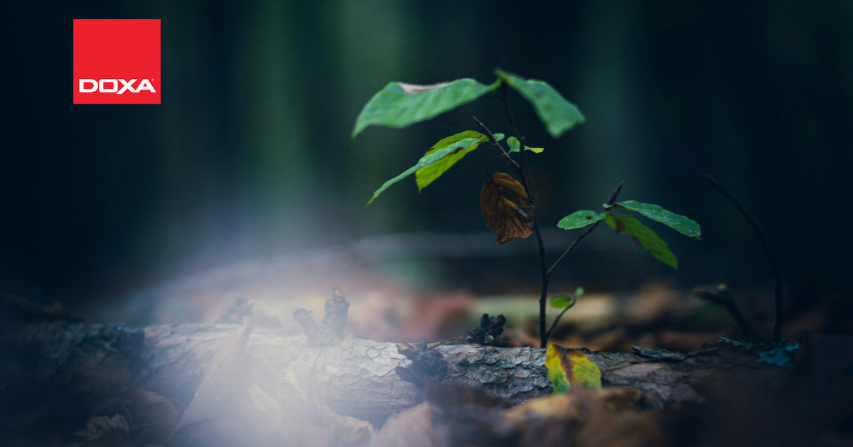 The insurance industry faces a pivotal year in 2025. Demographics, climate change, &amp; geopolitical shifts demand innovation. Insurers must adapt to rising risks &amp; embrace reinvention to thrive in this evolving landscape. 🌍 #InsuranceInnovation #Insurance

ow.ly/HyjL50URknM