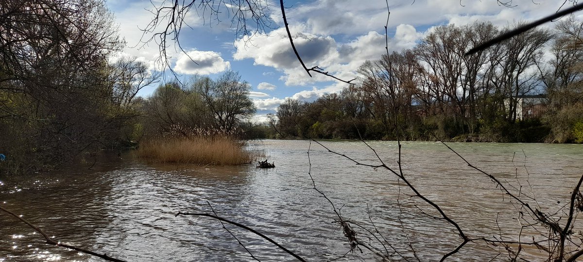 EB1LOnacho's tweet photo. #RioEbro #BarrioVarea #Logroño #LaRioja🇪🇦 #Varea #Varia 🚶♂️💓☀️🌿
https://t.co/SDhyz0s1AW https://t.co/rC5rpvCfkQ