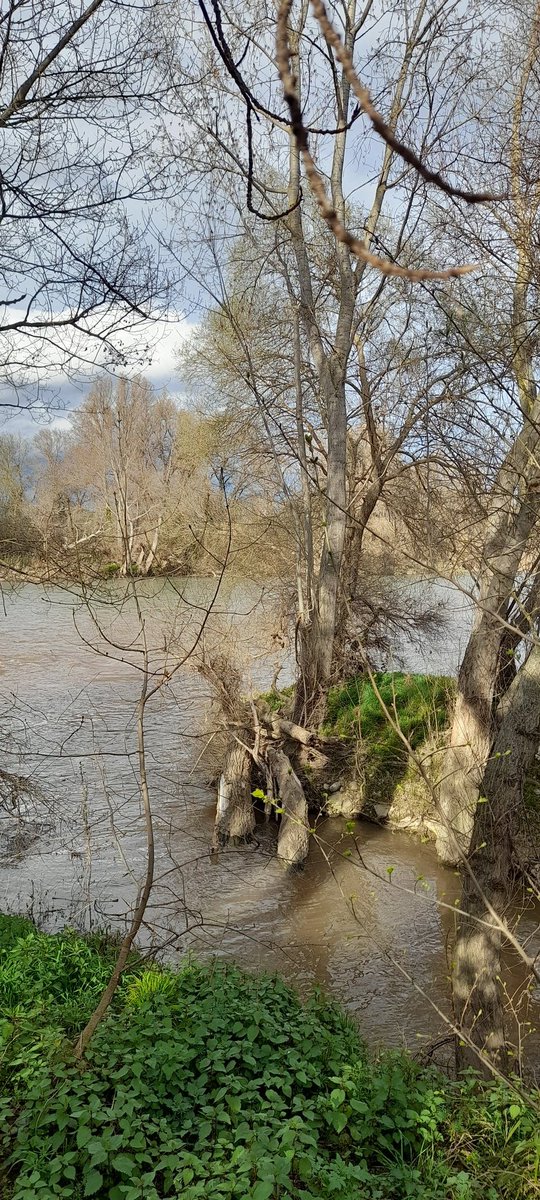 EB1LOnacho's tweet photo. #RioEbro #BarrioVarea #Logroño #LaRioja🇪🇦 #Varea #Varia 🚶♂️💓☀️🌿
https://t.co/SDhyz0s1AW https://t.co/rC5rpvCfkQ