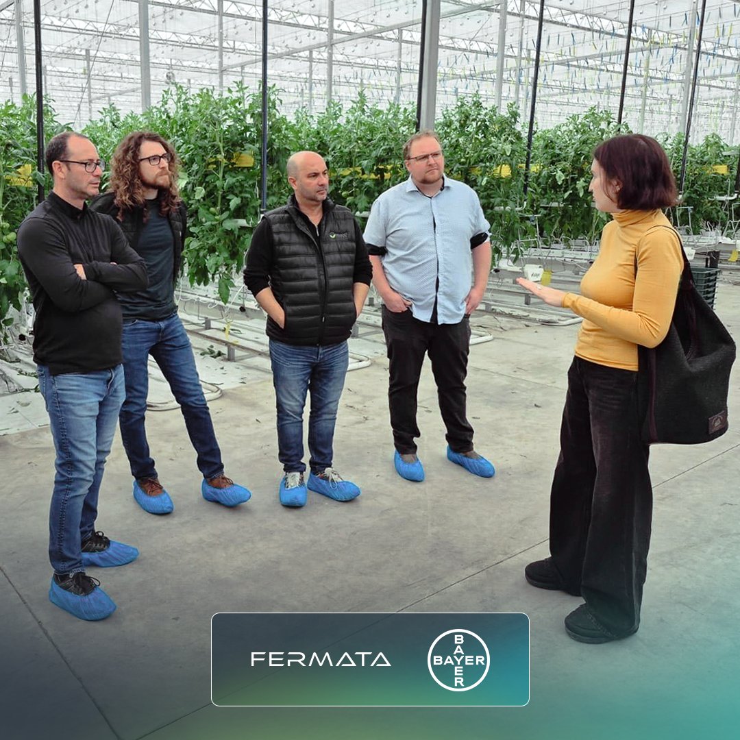 FermataTech's tweet image. Fermata and Bayer have just launched a collaborative project at tomato grower Ridge Farms, in Leamington, Ontario! Here visitors from other greenhouses in the area have come to see Croptimus™ in action. Our new team in Leamington is happy to meet with you to discuss how Fermata…