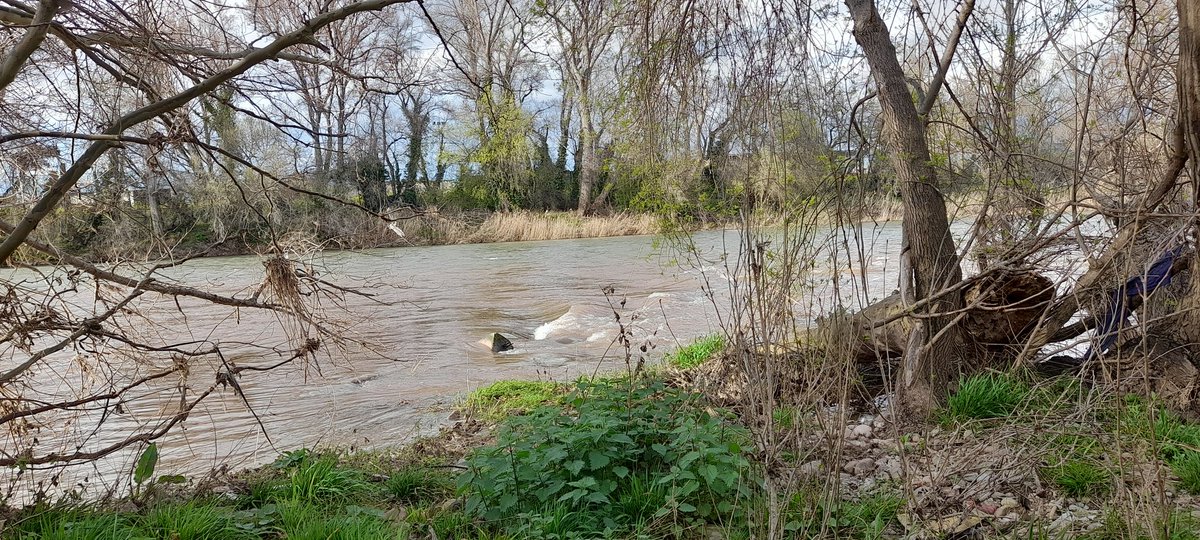 EB1LOnacho's tweet photo. #RioEbro #BarrioVarea #Logroño #LaRioja🇪🇦 #Varea #Varia 🚶♂️💓☀️🌿
https://t.co/SDhyz0s1AW https://t.co/rC5rpvCfkQ