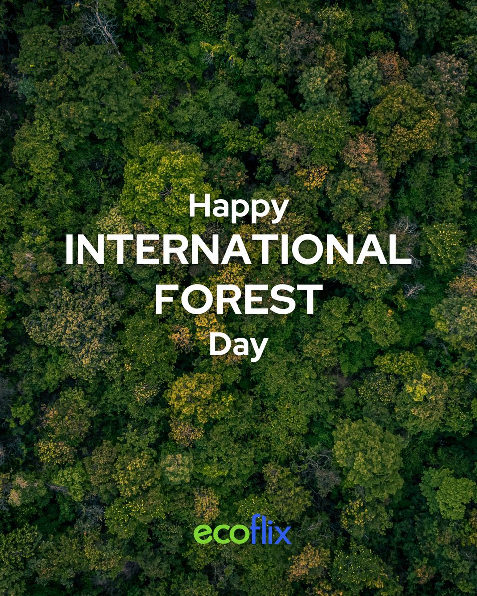 Happy International Forest Day!

Check out some of our best films that talk about our planet's forests and why they need help.

🌳 watch.ecoflix.com/search?q=forest

#internationalforestday