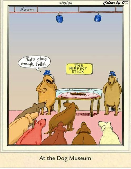 Far Side Fix tweet media