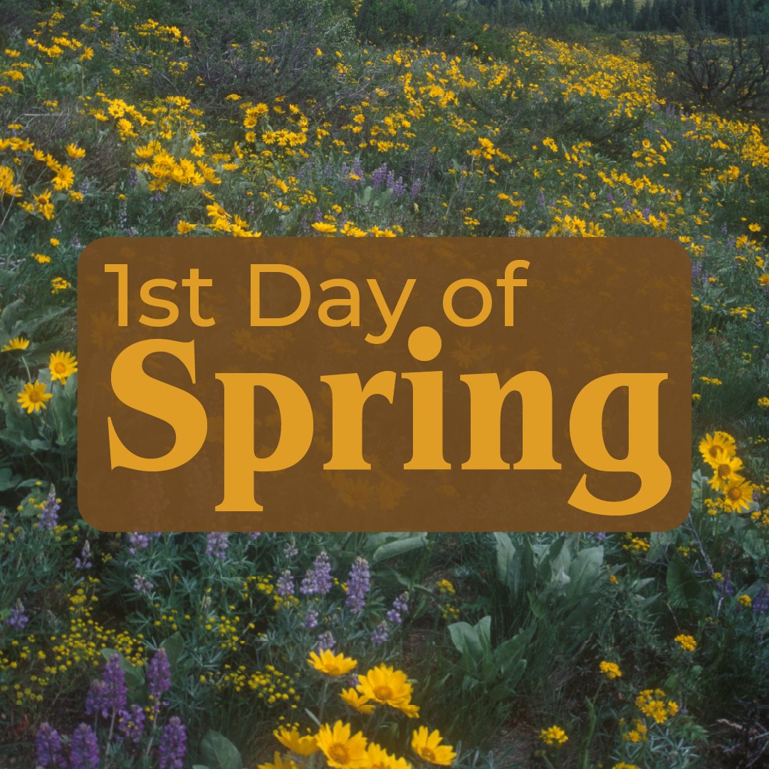 OkanoganCountry's tweet photo. Welcome the new beginnings and blooming adventures as we celebrate the First Day of Spring in Okanogan Country! π·π
#OkanoganCountry #SpringInOkanogan #FirstdaySpring https://t.co/Bt6Za9dNeY