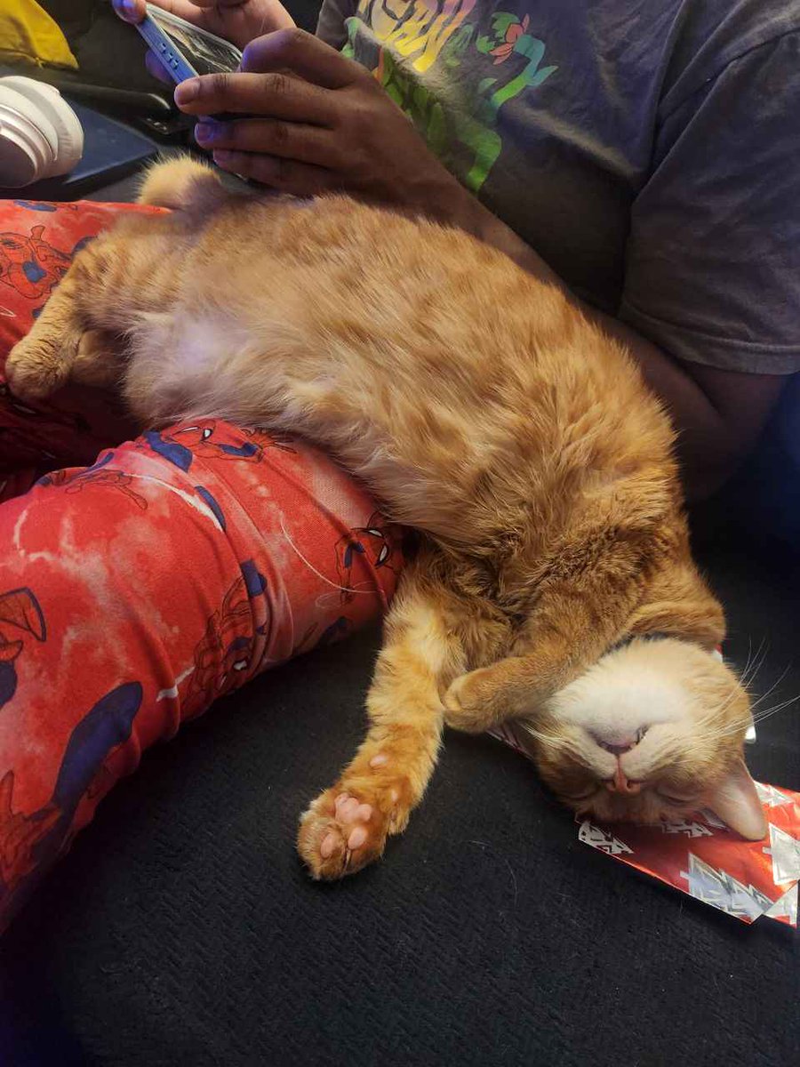 Miniatureowl's tweet photo. I talked about my son A LOT here so, please keep my boyyo in your prayers/cheer him on. He was diagnosed yesterday with cardiomyopathy or heart disease. He's late stage (not latest stage luckily). He survived the night (didn't go critical) and will be put on dieretics. 🤞🏾 https://t.co/XMdRwtc7zG