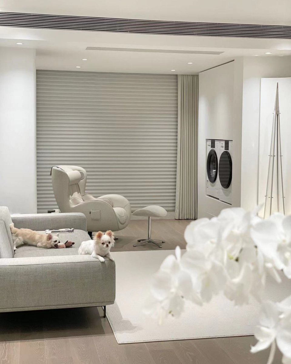 Nouhaus tweet media
