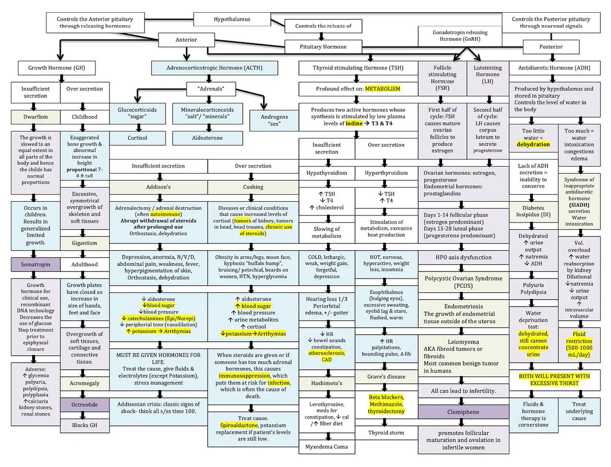 Manual Of Medicine tweet media