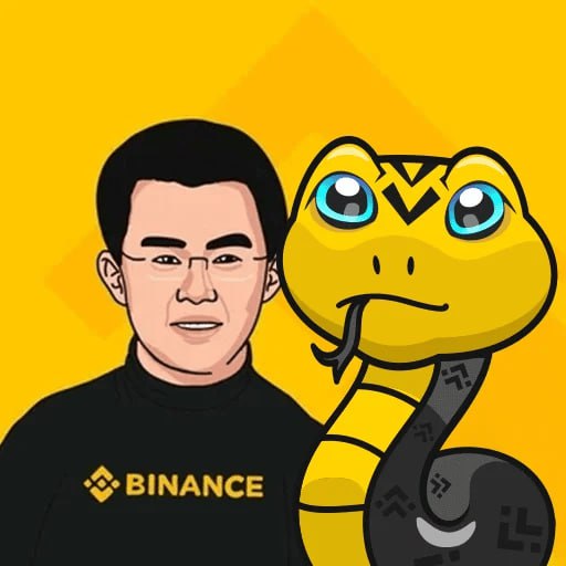 _ikennajoseph's tweet photo. @ChadCaff Most coins hype and dump. $SNAKEMOON is building: game in final testing, devs launching tokens through our platform, and all volume feeds into the chart https://t.co/AjVVVEfTFD