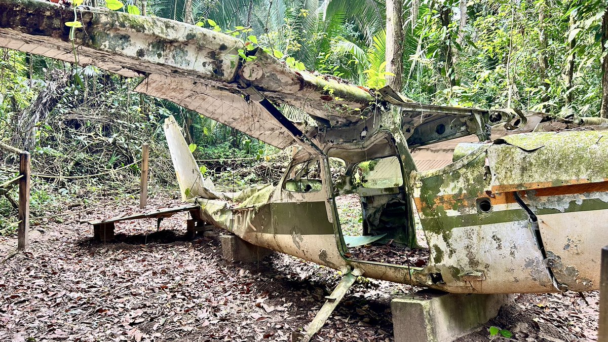 trotavan's tweet photo. Nos adentramos más de 15 km en la selva pura de Belice, un territorio donde los jaguares viven en libertad y son protegidos en su hábitat natural. Pasamos la noche acampando en nuestras camionetas y al amanecer volvimos a la búsqueda. ¿Habrán estado más cerca de lo que imaginamos https://t.co/W1ydO0Z9ZV