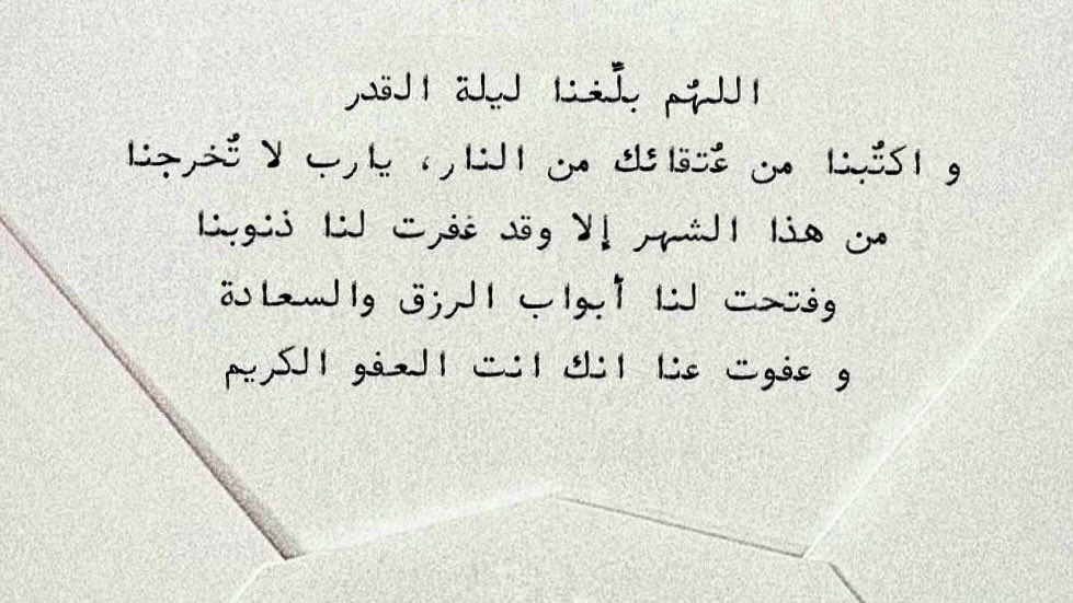 🕸 tweet media