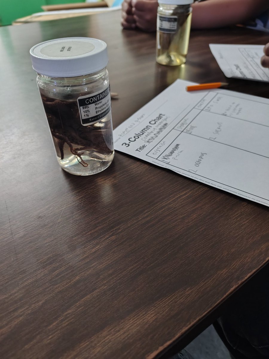 LeaLinthicum's tweet image. Nothing like bringing out real organisms to identify structures and functions . Bonus lab #handson #sciencecomeback2425 @DunnES_AISD @ArtishaHolmes @mrskegler