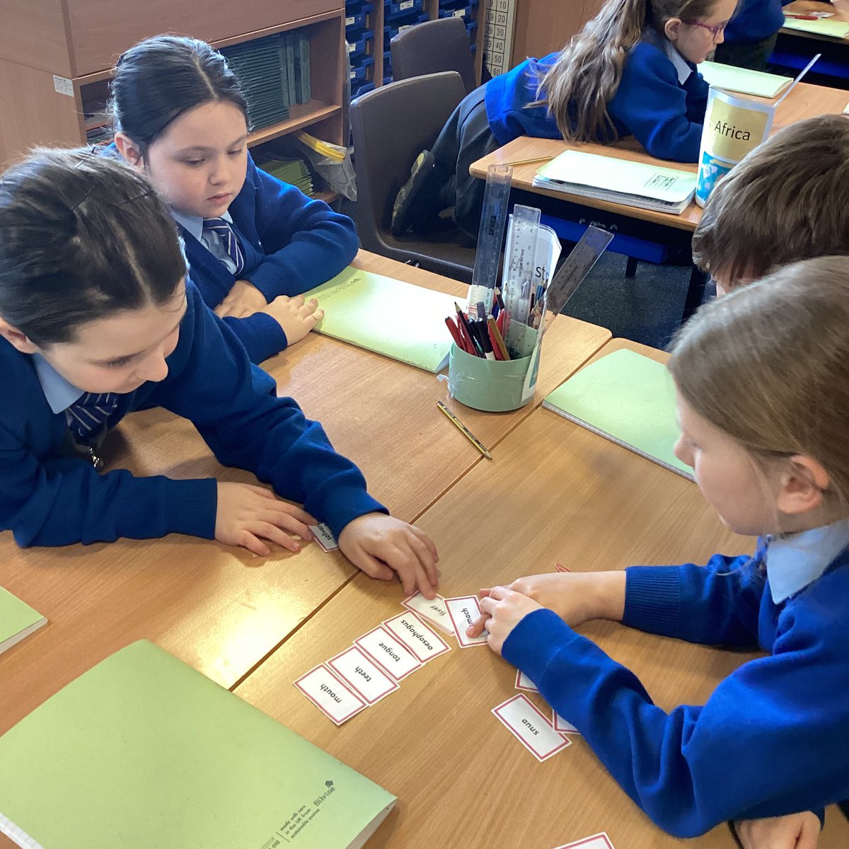 stmonicasbootle's tweet image. This week in year 4 we started our digestion topic in science. We looked at the different organs that make up our digestive system and their individual functions. We then challenged ourselves to order each organ in the order that our food travels through them. #welovescience