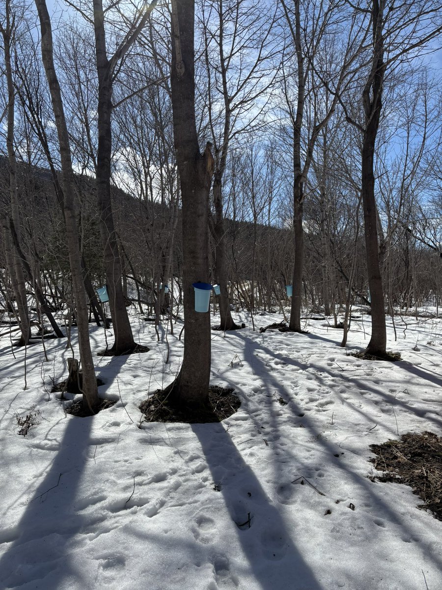 What a day on the #westcoastbestcoast #nlwx