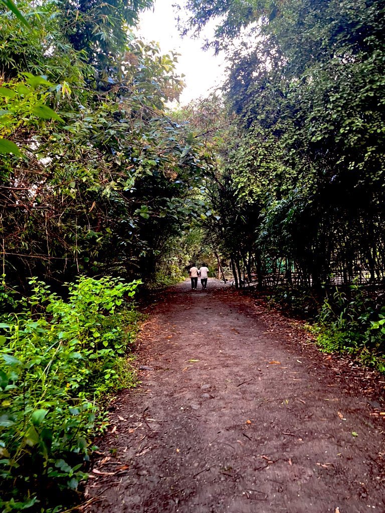 KadgeRupesh's tweet photo. Weekend mornings without a Taljai Hills walk? Unimaginable!
Breathe in the fresh air and join me for a refreshing start. 🌿 #Punekar #Taljai” https://t.co/zEJcgqhQfG