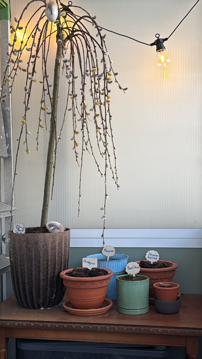 derKavka tweet media