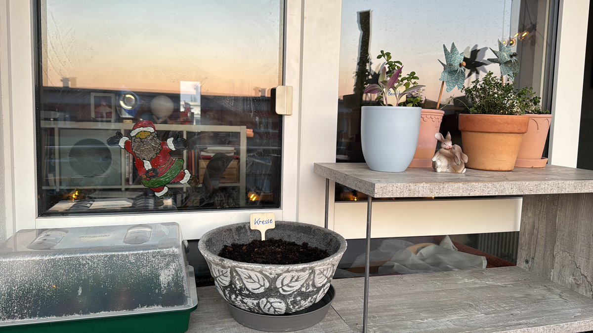 derKavka tweet media