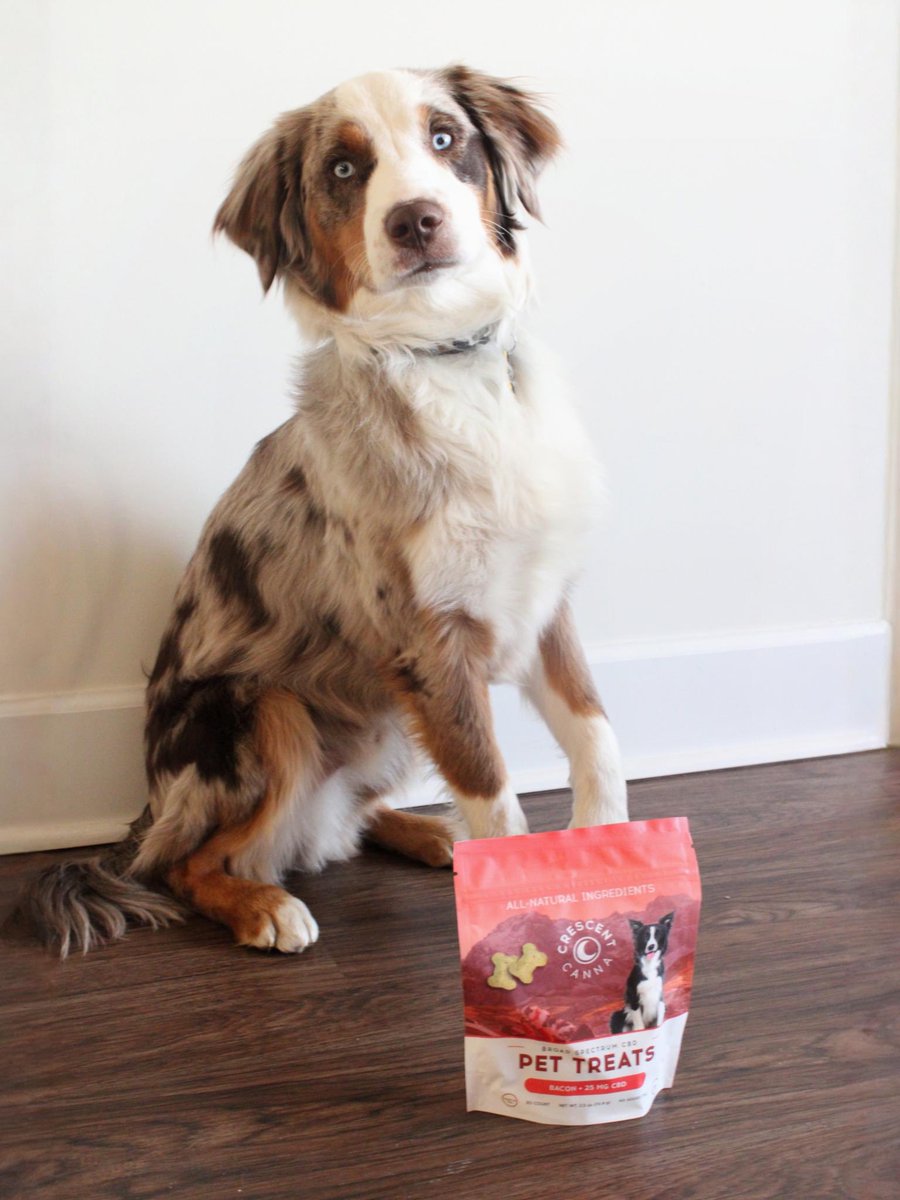 We hope your Friday is un-fur-gettable. 🐾