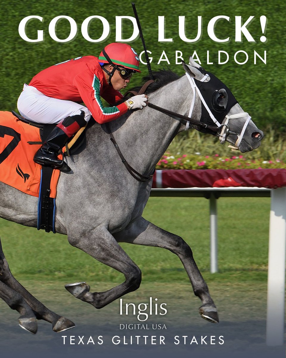 inglisdigitalus's tweet photo. Best of luck to July '24 grad, Gabaldon, in tomorrow's Texas Glitter Stakes at Gulfstream Park. β¨
#InglisDigitalUSASold @JFDAngelo @JaramilloJockey @Qatar_Racing https://t.co/jdJYGvowxz